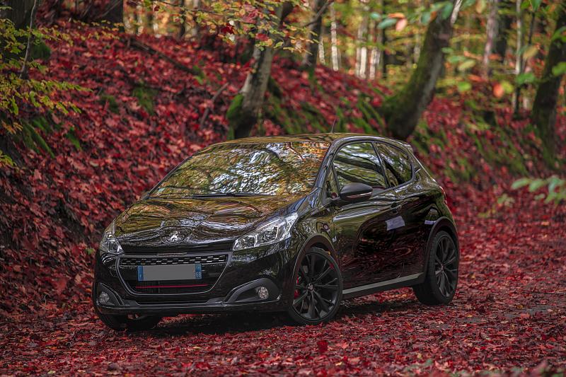 Cliquez sur l'image pour l'afficher en taille normale

Nom : 208  GTI BPS en foret 0960000.jpg 
Affichages : 224 
Taille : 100.8 Ko 
ID : 15955