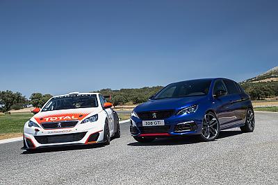 Peugeot 308 GTi by Fabien in Peugeot 308 GTi 