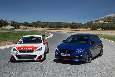 Peugeot 308 GTi by Fabien in Peugeot 308 GTi 