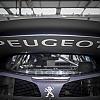 27547810978 ea9b19b26d o by Fabien in La peugeot 208 WRX