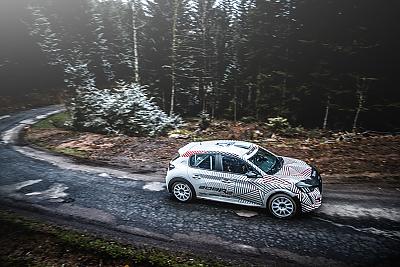 Nouvelle Peugeot 208 R2 by Fabien in Peugeot 208 R2 