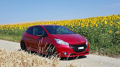 Juillet 2015 by Forum208GTi in Juillet 2015