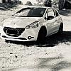 Ma petite lionne by Jchris in Peugeot 208 GTi - 30 Th 