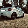 Ma petite lionne by Jchris in Peugeot 208 GTi - 30 Th 